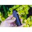 APX Dry Herb Vape Molecule